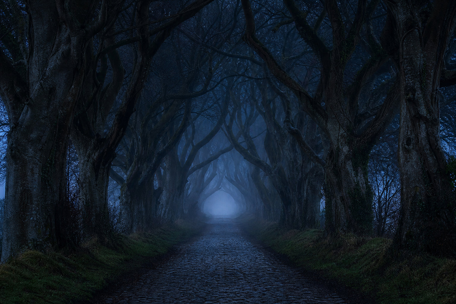 The Dark Hedges: Walk the Most Haunted Road in Northern Ireland