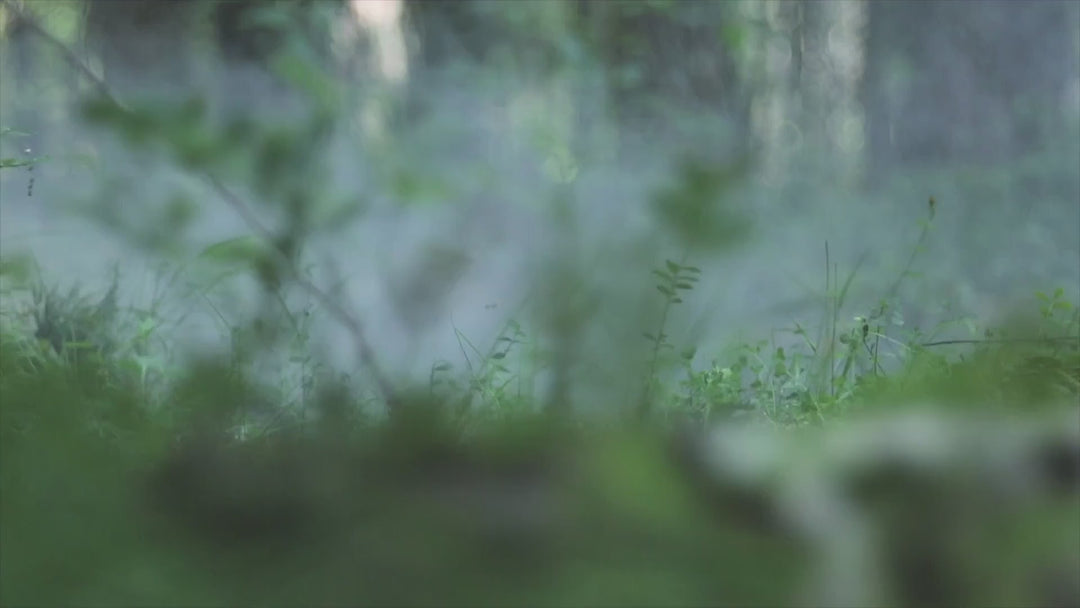 Secret Garden