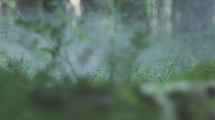 Secret Garden